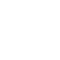 Loyalty Website